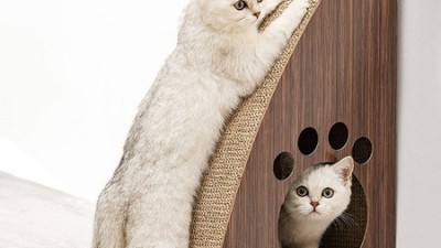 냥이 행복 듬뿍! 스크래쳐펫펫펫고양이원형 후기 & 꿀팁 대방출🎁