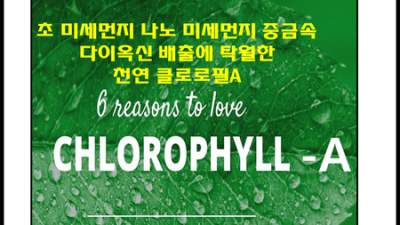 💚 엽록소a 효능 봤어? 솔직 후기 & 꿀팁 대방출! (할인정보🎁)